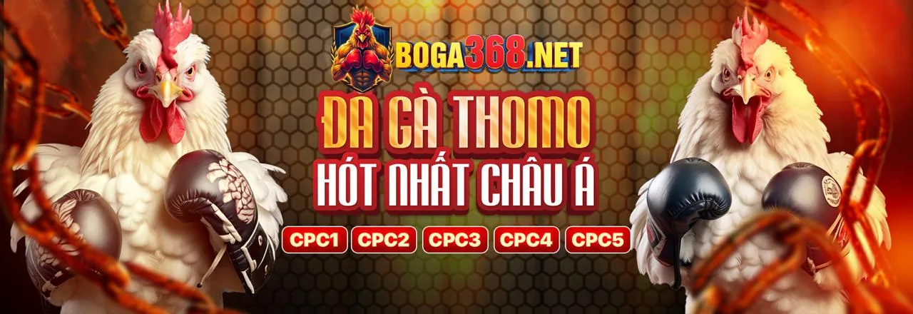 Tổng quan nền tảng V9WIN và lợi ích